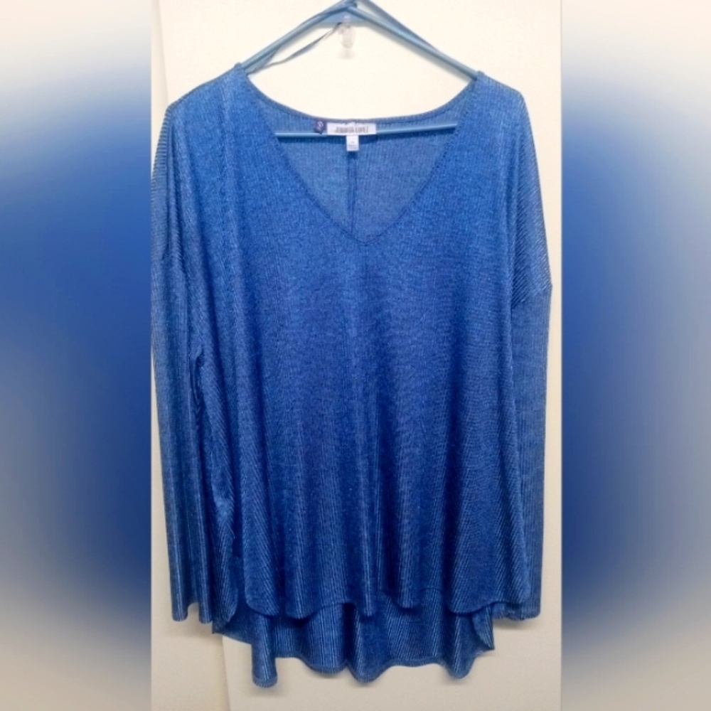 Jennifer Lopez Womens Blue T-Shirt Pullover V-Neck Long Sleeve Size 2x
